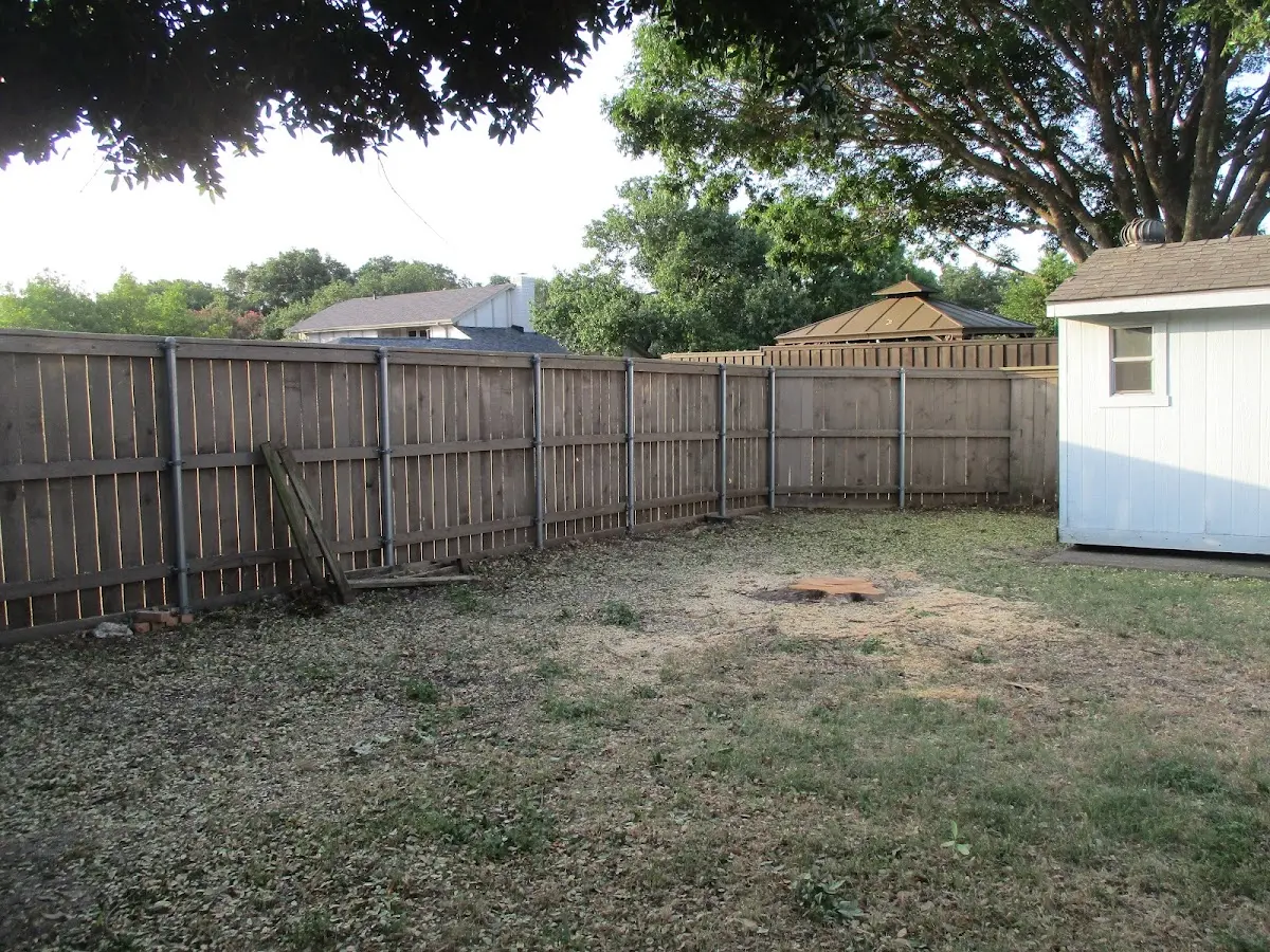 Cleared yard after professional tree removal in Chilton