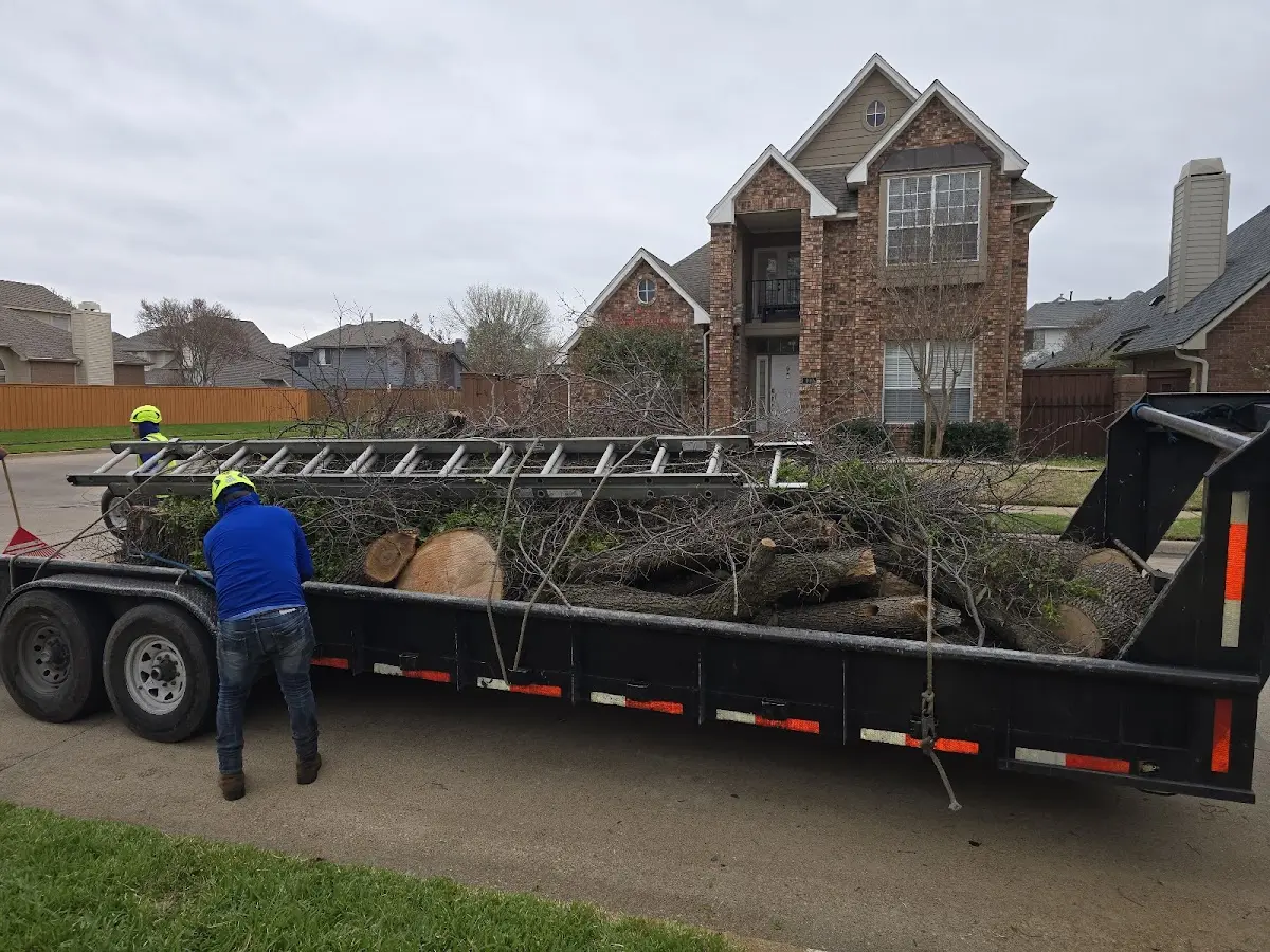 Expert Tree Pest Control with proper safety equipment in Chilton